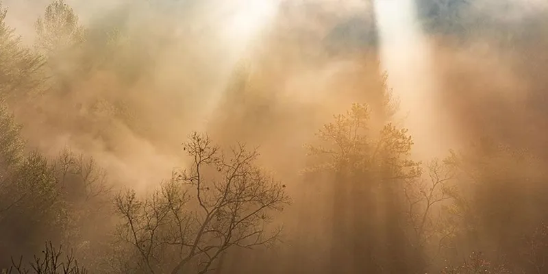 W oparach nieświadomości, czyli o psychoterapii psychoanalitycznej